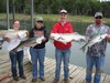 (09/24/2018) - Nice Striped Bass